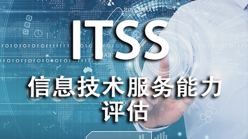 定制开发流程：信息技术公司的核心能力解析**